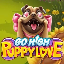Go High Puppy Love by RubyPlay, showcased at spinsteincasino-pt.com – game logo